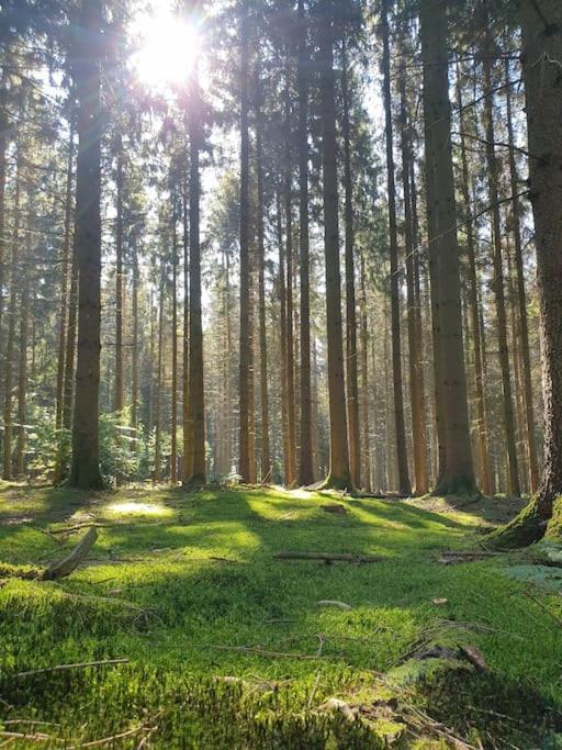 Gite N° 20, En Pleine Nature, Frontalier Signy-le-Petit Extérieur photo